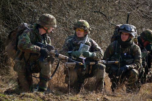Belgian and Dutch soldiers conduct the quick-reaction Infantry Task Force Exercise Rampant Lion as part of the European UnionÕs Battlegroup 2014-02, Feb. 26, 2014, which qualifies more than 1500 soldiers from Belgium, the Netherlands, Luxembourg and Spain to work as a task force. The training at the Grafenwoehr Training Area ensures interoperability of systems and synchronizes tactics in communication, cordon and search, convoy operations and compound security. The final certification is scheduled for June 2-13 at Saint-Hubert, Belgium. (U.S. Army photo by Visual Information Specialist Gertrud Zach/released)
